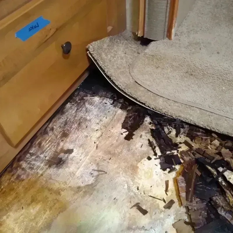 Wood Floor Water Damage in Lawrence County, IL